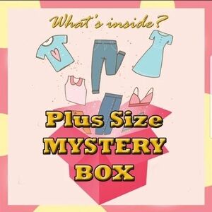 Plus Size Mystery Box | Torrid/Cato/J Crew/ Ny & Co Resellers Box 5Lbs Pick Size